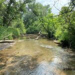 plum creek