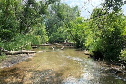 plum creek